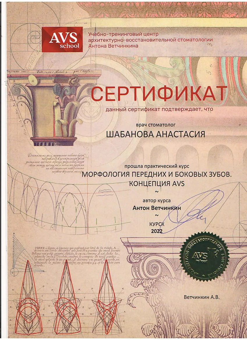 Сертификат Грешилова Анастасия Сергеевна, 3